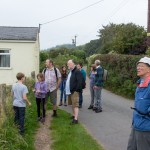 Walkers looking at the view